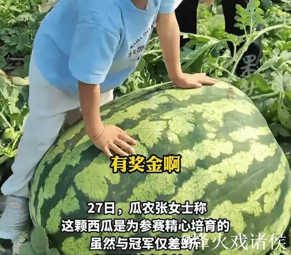 51吃瓜今日大瓜：震撼内幕全网热议